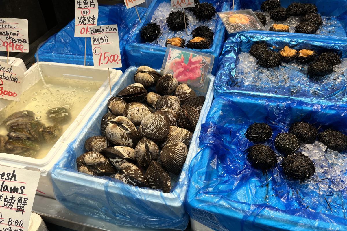 bins of fresh seafood (clams, urchins, abalone)